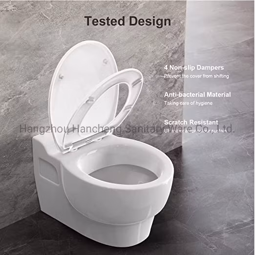 Aobo Toilet Seat with Easy Clean &amp; Change Hinge, Elongated, Soft Close